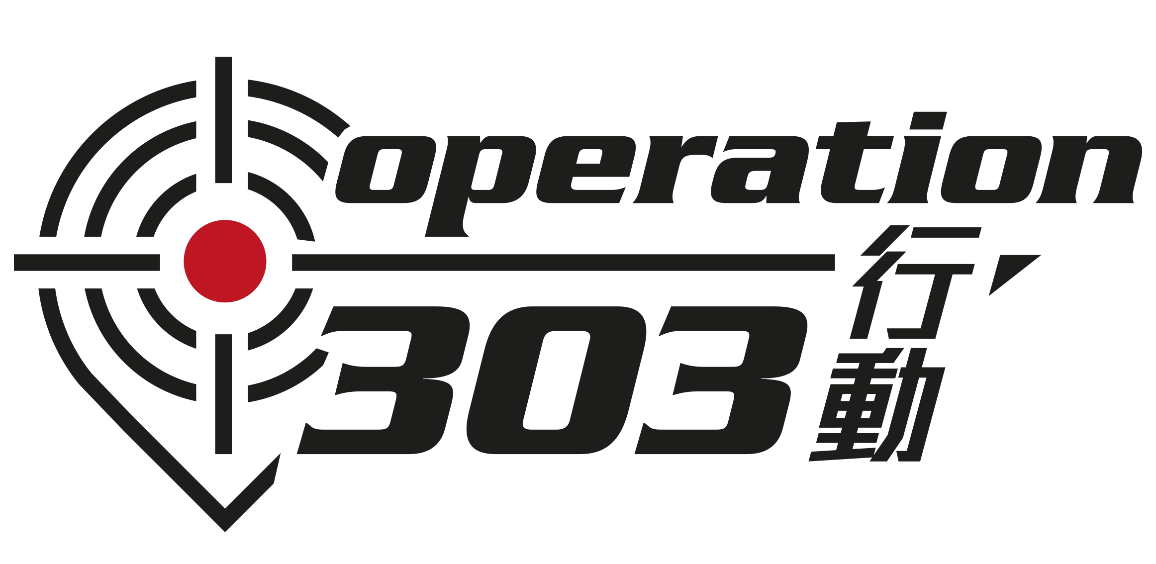 Operation 303 Logo