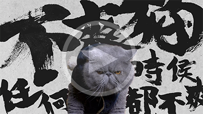 不爽貓 (Grumpy Cat)