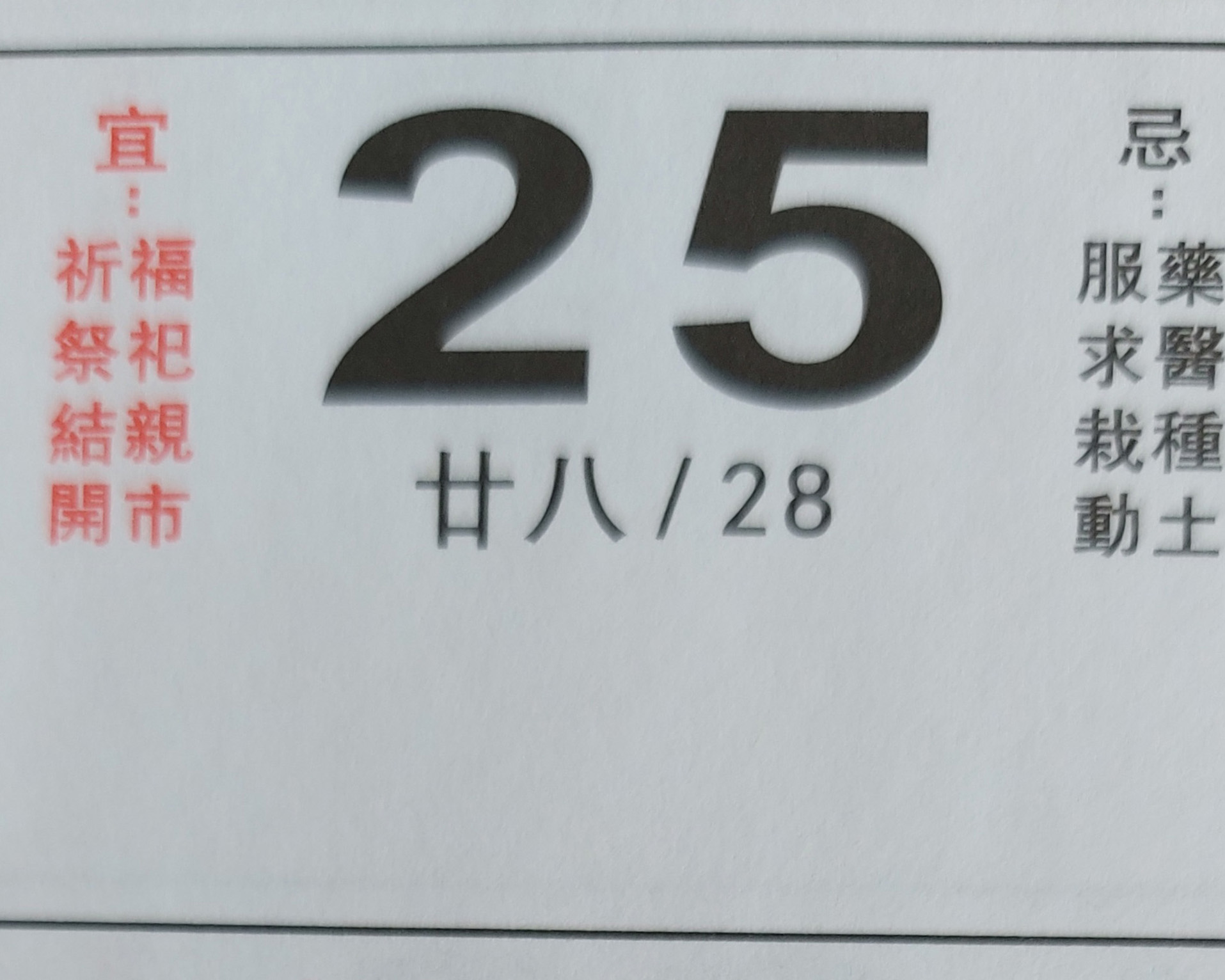 會員作品：「友」你「相」伴25！