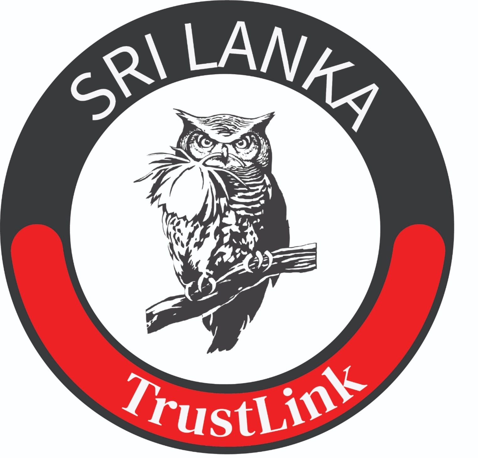 TrustLink Team Logo