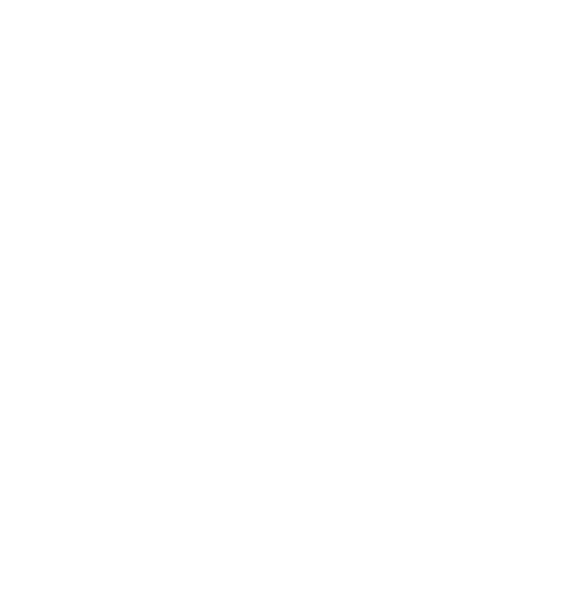 天网