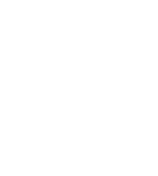 天網