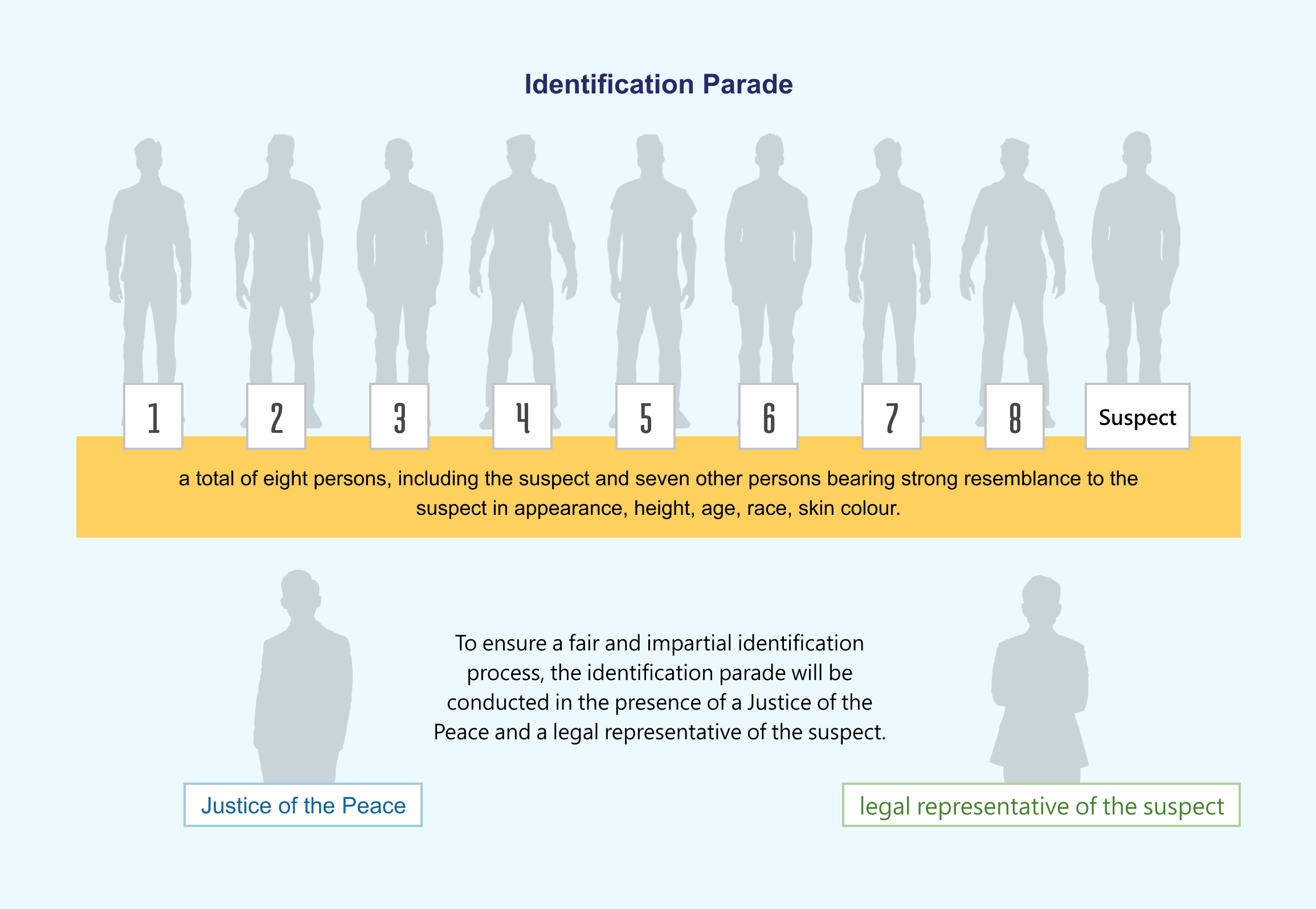 Identification Parade
