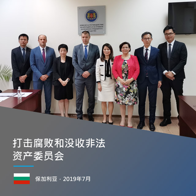 打击腐败和没收非法资产委员会