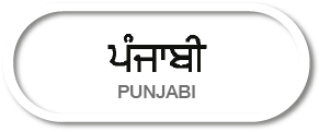 ਪੰਜਾਬੀ Punjabi